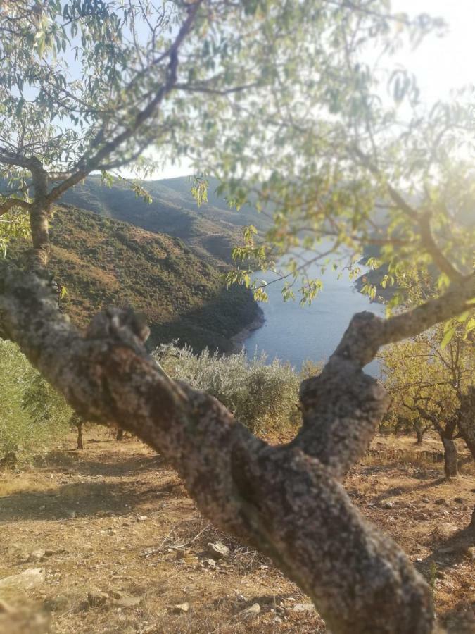 Casas De Xisto Villa Mogadouro  Kültér fotó